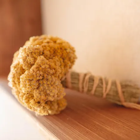 Les Demeures De Villa *