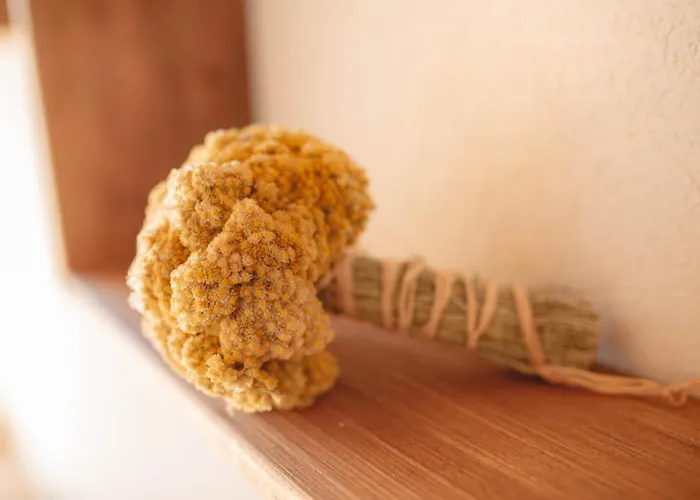 Les Demeures De Villa *